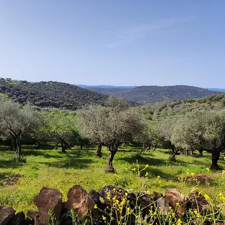 Casa vacanze La Martela De Fuentes Casa De Diseno Rural Fuentes de León