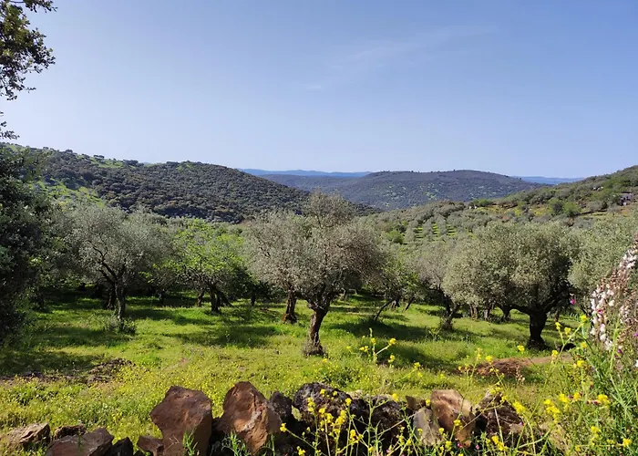 Casa vacanze La Martela De Fuentes Casa De Diseno Rural Fuentes de León